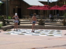 2008_0716_HRP_25_CowPieCheckers
