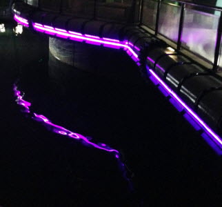 2014_0908_IOA_Lights3