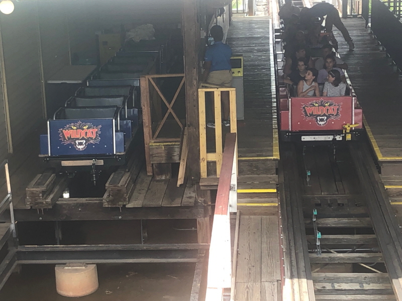 2021_NewWildCatTrain1
