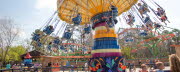 2025_Wing-Swinger