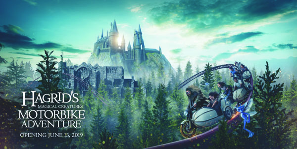 2019_Hagrid00
