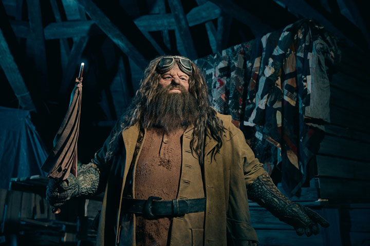 2019_Hagrid03