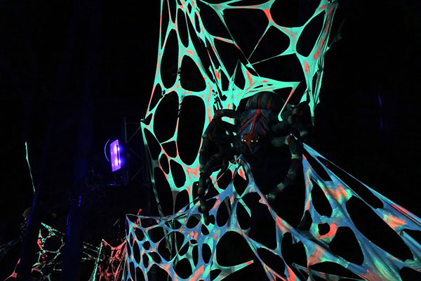 DSC01277 DSC01277