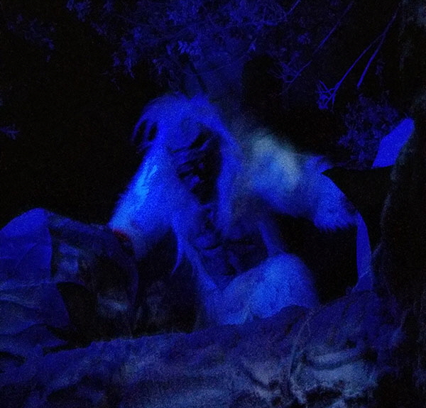 HHN_Yeti3 HHN_Yeti3
