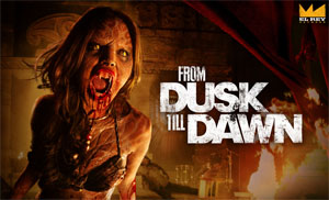 LOGO_DuskTillDawn