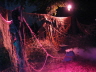 2008_Scarowinds31