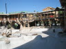 2011_Schlitterbahn_Treehaus10