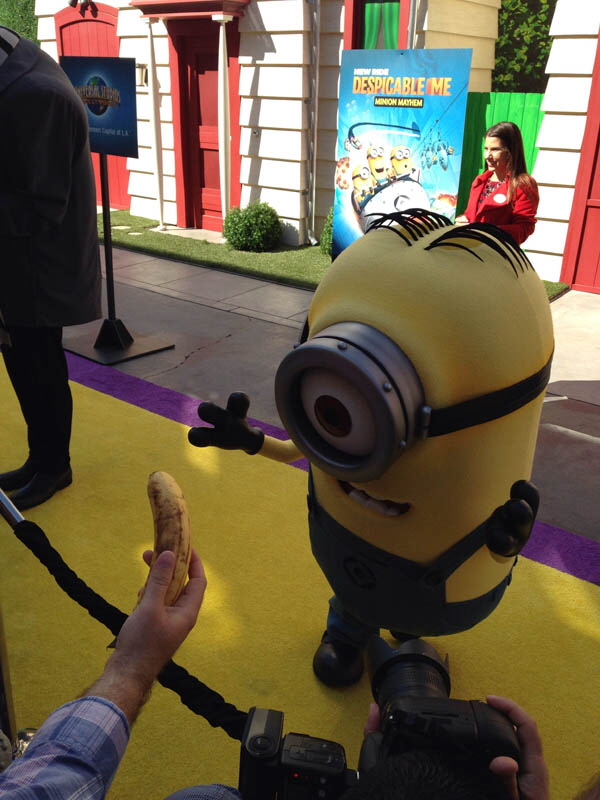 2014_0411_USH_DespicableOpening3