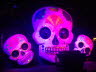 2014_KnottsScaryFarm (9)