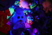 DSC00768