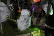 DSC00866