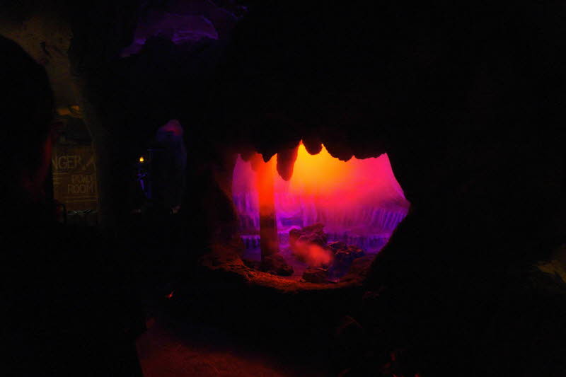 DSC01318