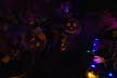 DSC01332