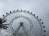 OrlandoEye_web03