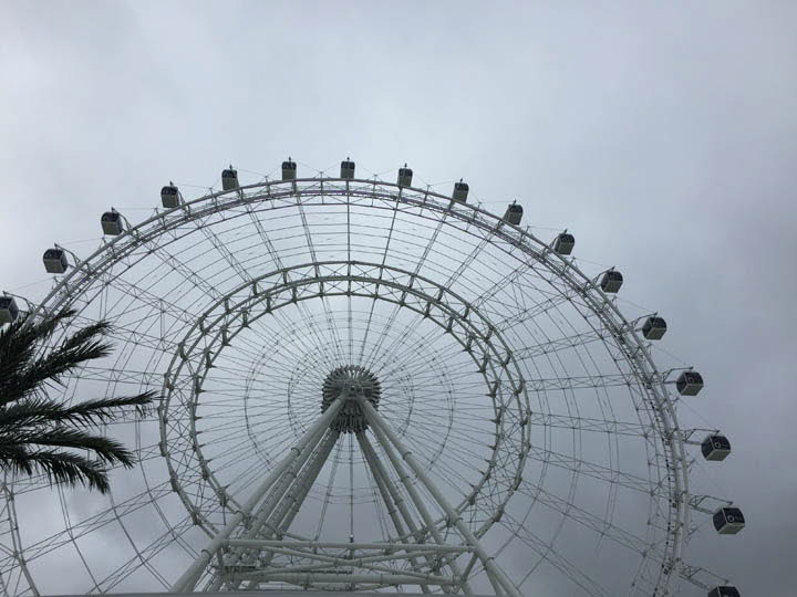 OrlandoEye_web03