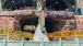 PXL_20250405_205720845