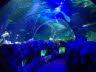 SEALIFE10