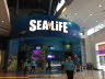SeaLife_web01